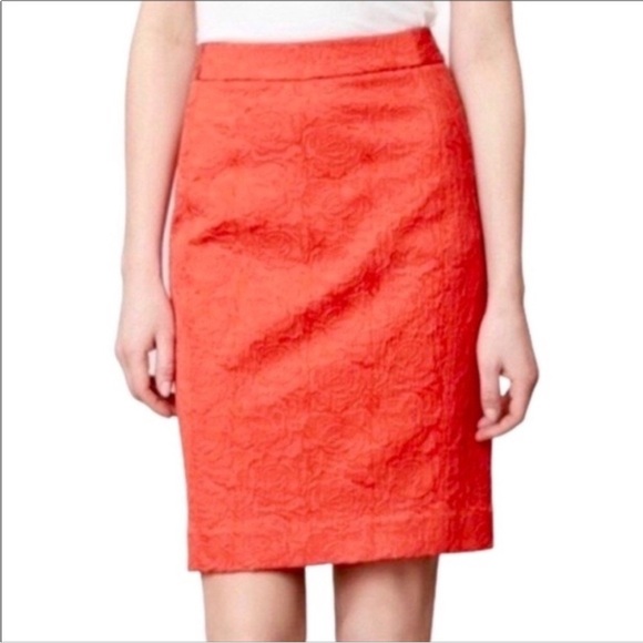 Anthro skirt - Vanessa Virginia - Picture 1 of 9